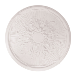 small detailed plaster ceiling rose